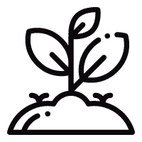 ΣΥΧΝΈΣ ΕΡΩΤΉΣΕΙΣ