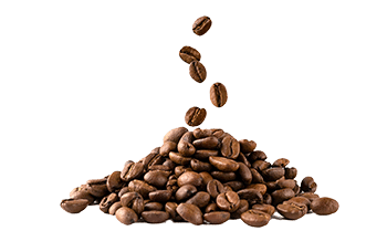 Στιγμιαίος καφές (Coffea arabica L.)