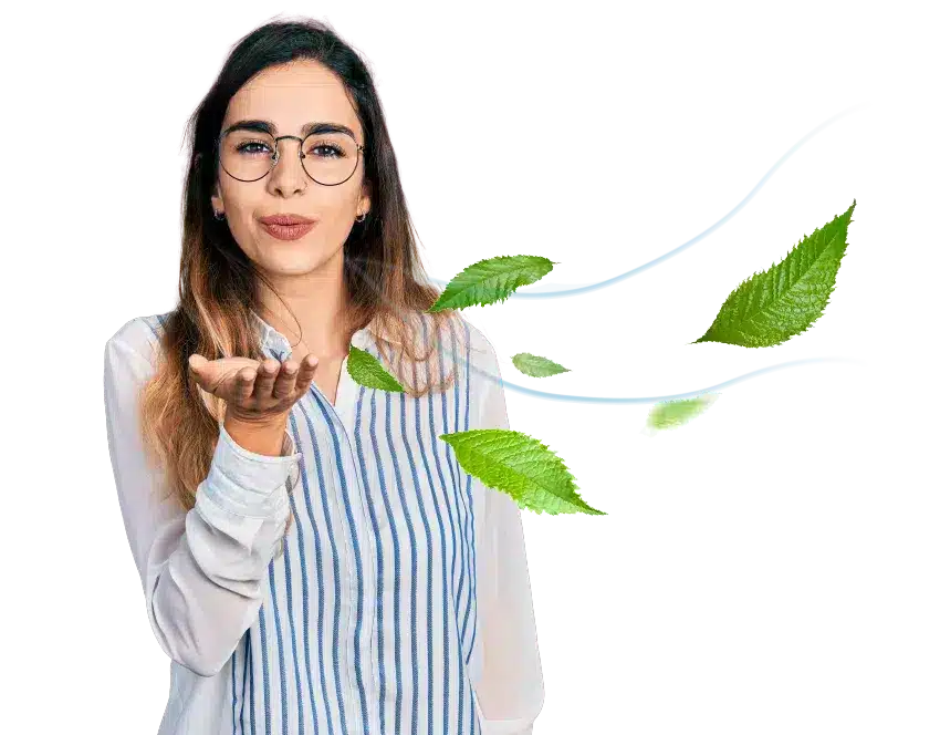 Εικόνα επιλογής προϊόντος