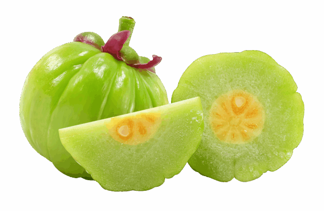 Εκχύλισμα Garcinia Cambogia