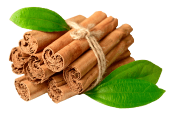 κανέλα Κεϋλάνης